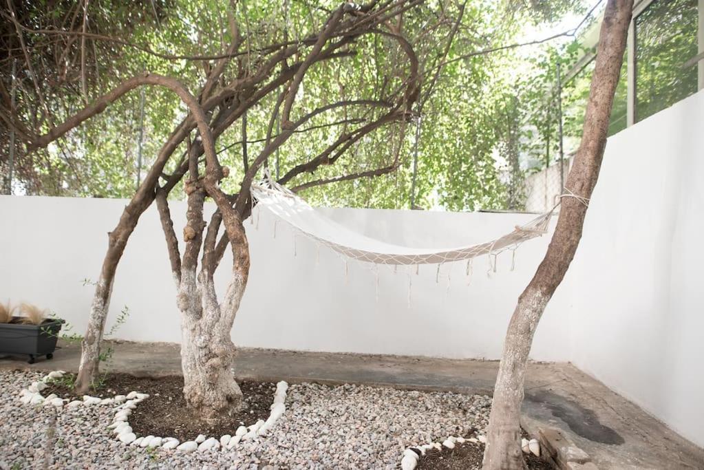 Luxury Studio With Garden Next To Acropolis Athens Exterior photo